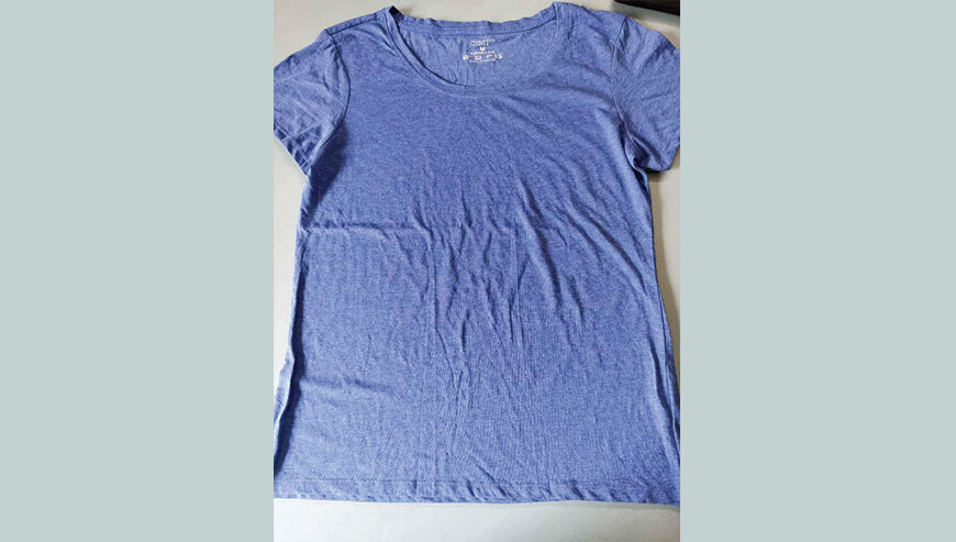 Ladies H/SL T – Shirt (Original).