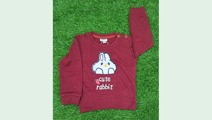 Baby Boys Fancy Sweatshirt