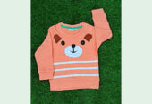 Boys Fancy Sweatshirt