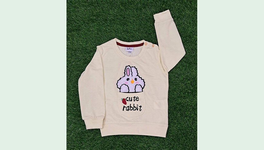 Baby Boys Fancy Sweatshirt