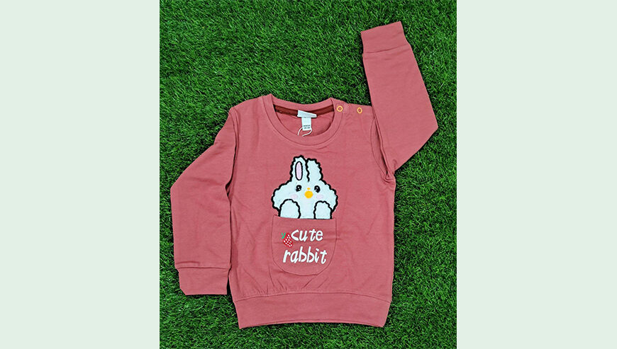 Baby Boys Fancy Sweatshirt