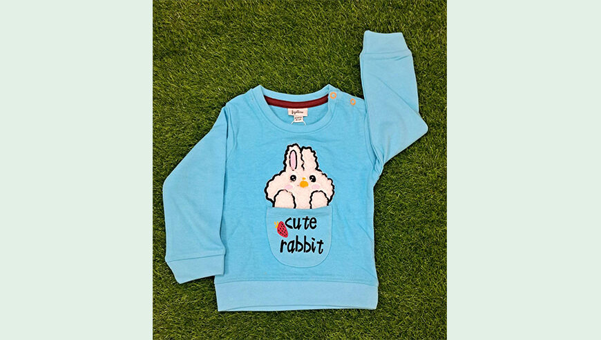 Baby Boys Fancy Sweatshirt