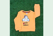 Baby Boys Fancy Sweatshirt