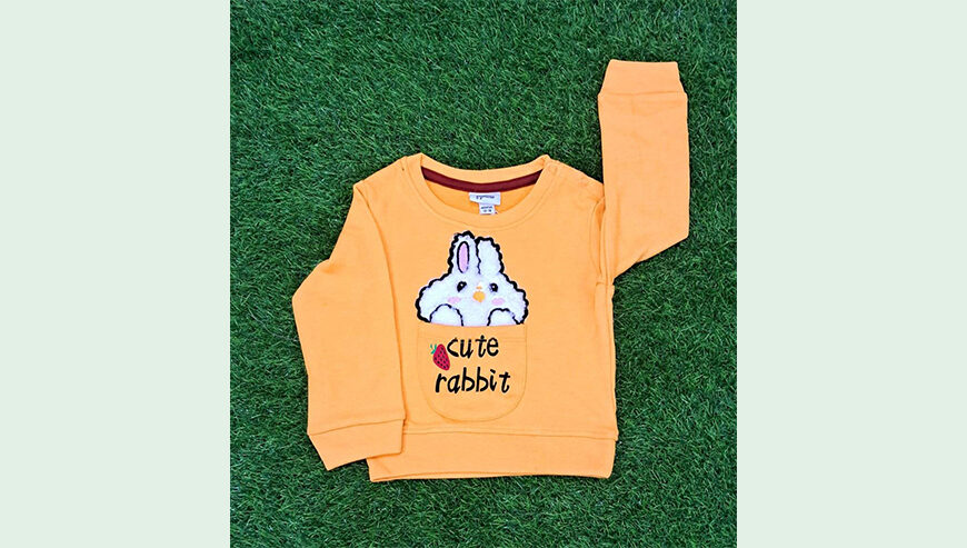 Baby Boys Fancy Sweatshirt