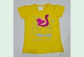 Girl’s Over Fancy T-shirt with applique work