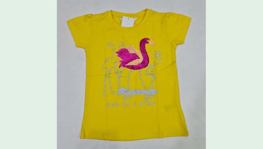 Girl’s Over Fancy T-shirt with applique work